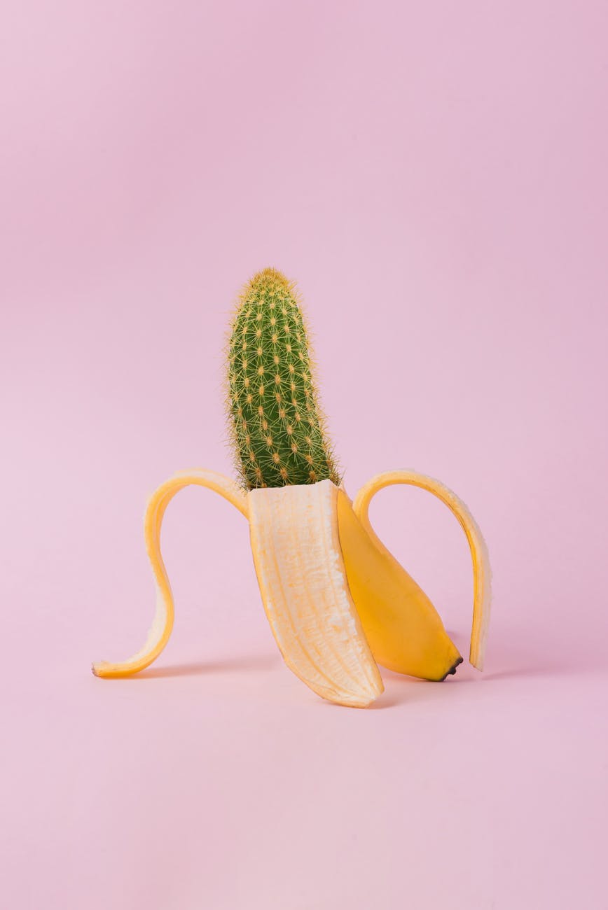 edited photo of banana and cactus